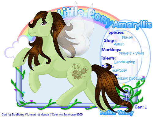 User Image